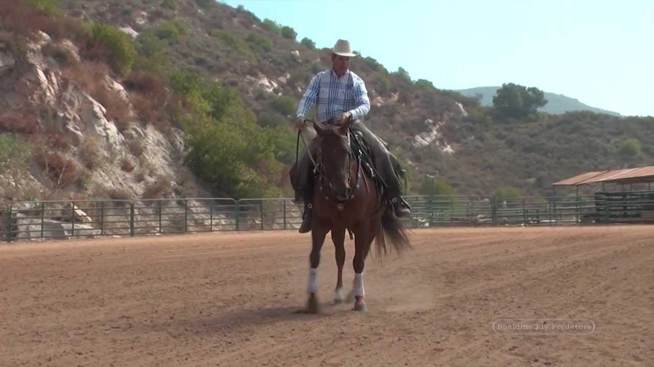 Body Control by Richard Winters