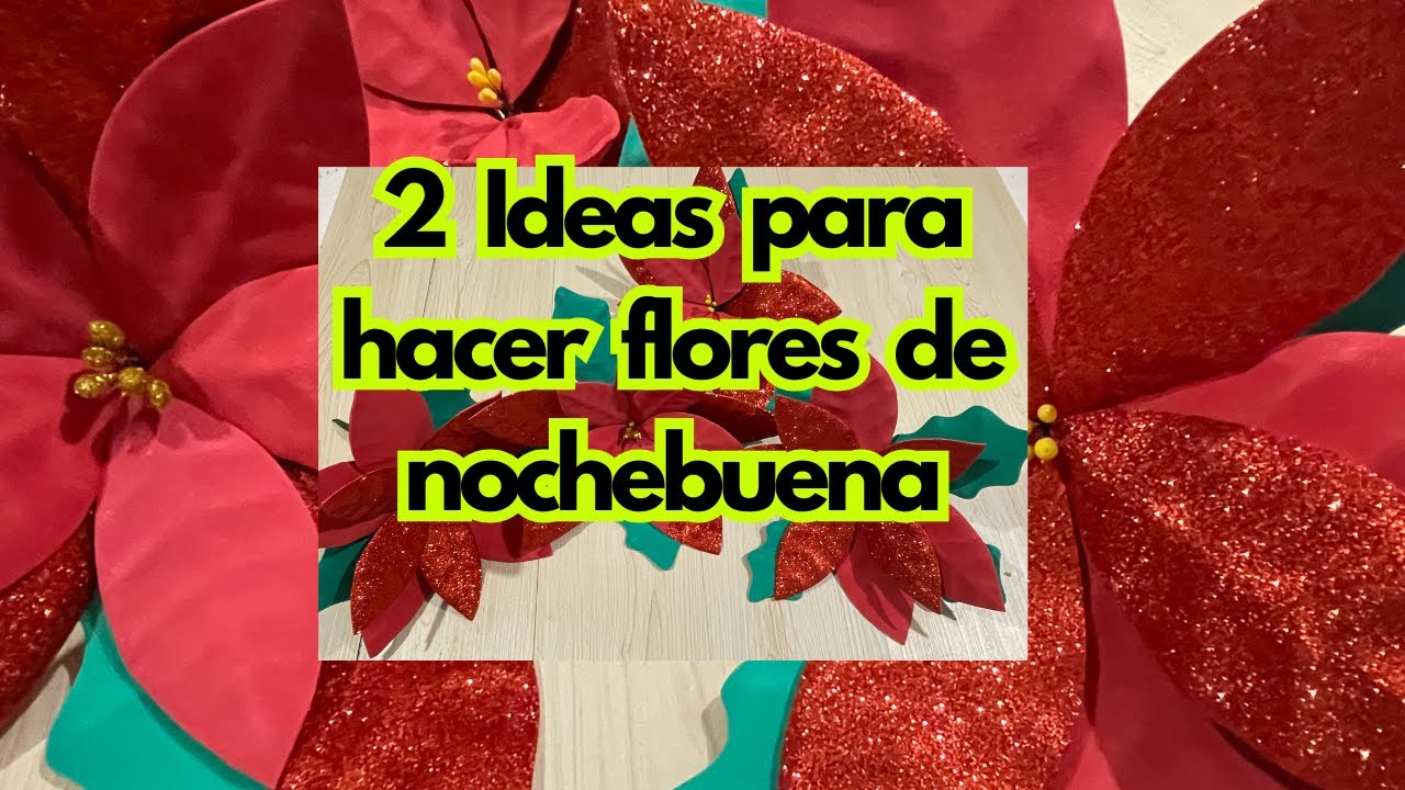 Flores nochebuena perfectas para decorar en navidad