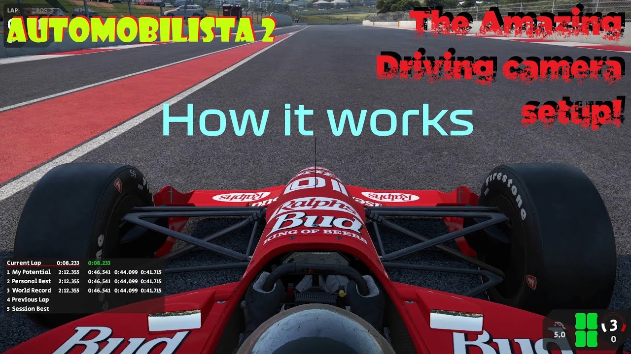 Automobilista 2 -The GAMECHANGER Option -How to Setup ANY Driving-Cam-View YOU Ever Want!