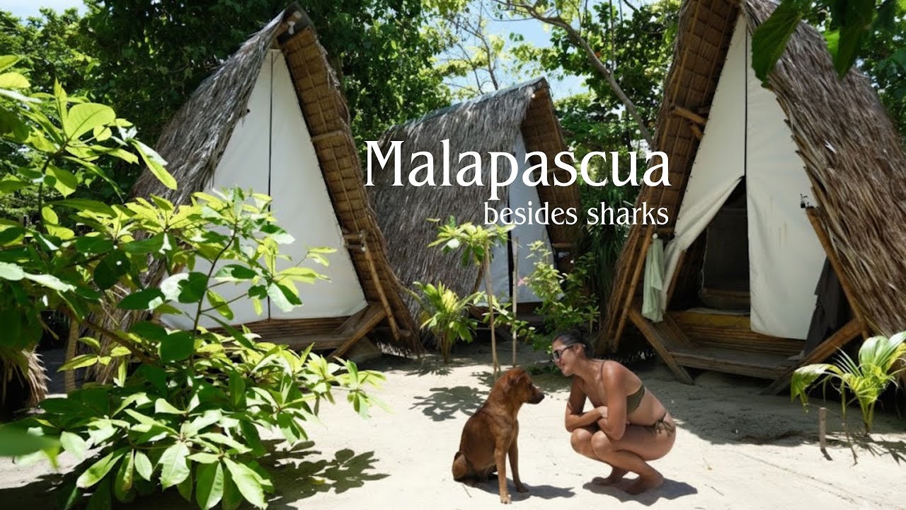 Malapascua besides sharks 媽媽島除了長尾鯊 還有什麼好玩的？！傳統茅草屋住起來舒服嗎?!