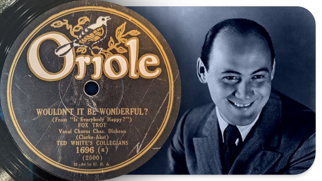 Wouldn't It Be Wonderful? - Fred Rich And His Orchestra (1929)