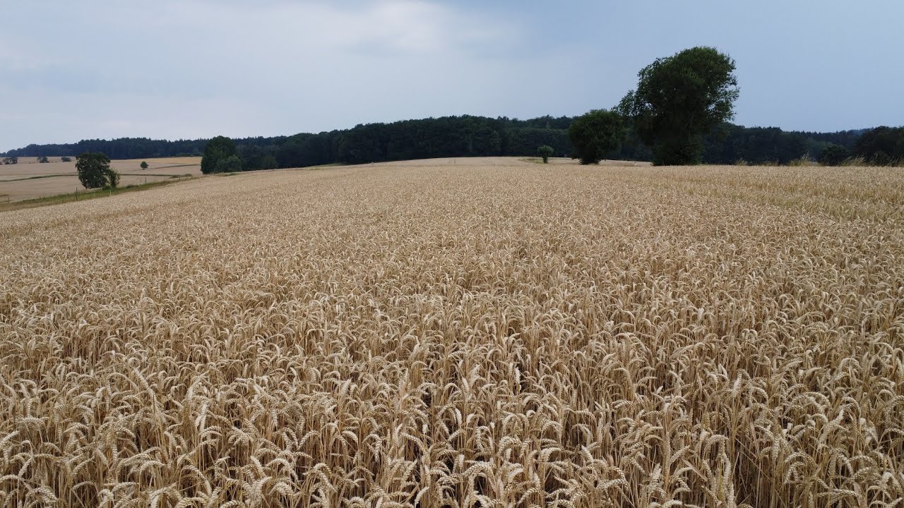 Eine Minute vor dem Regen