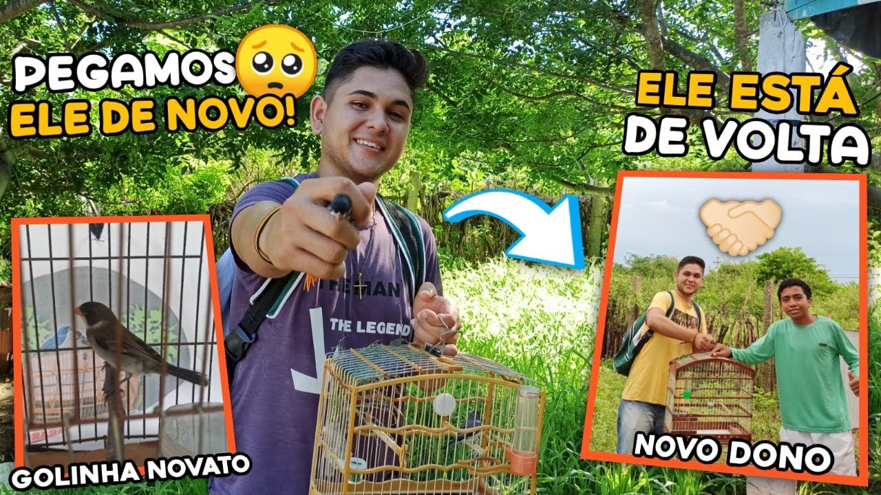 🥺 ELE ESTÁ DE VOLTA! CONSEGUI PEGAR O GOLINHA QUE SE SOLTOU!!! ( 2 Dias solto )
