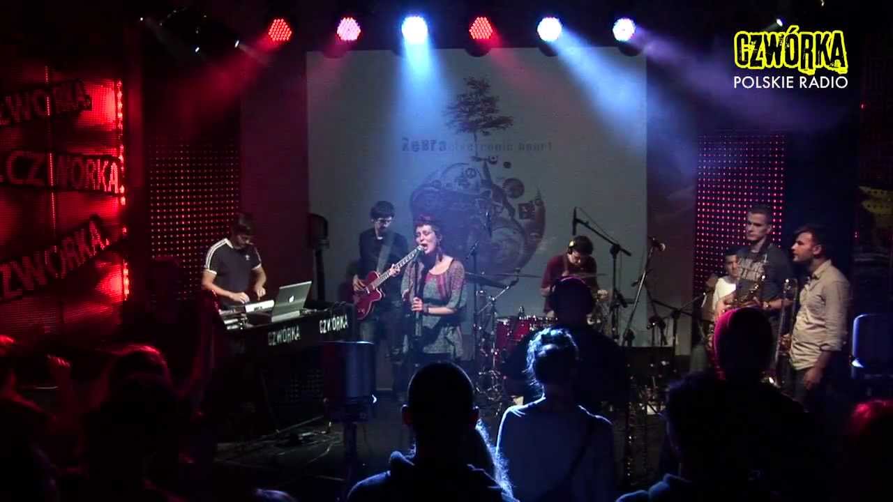 ZEBRA - Brew (live Polskie Radio Czwórka)