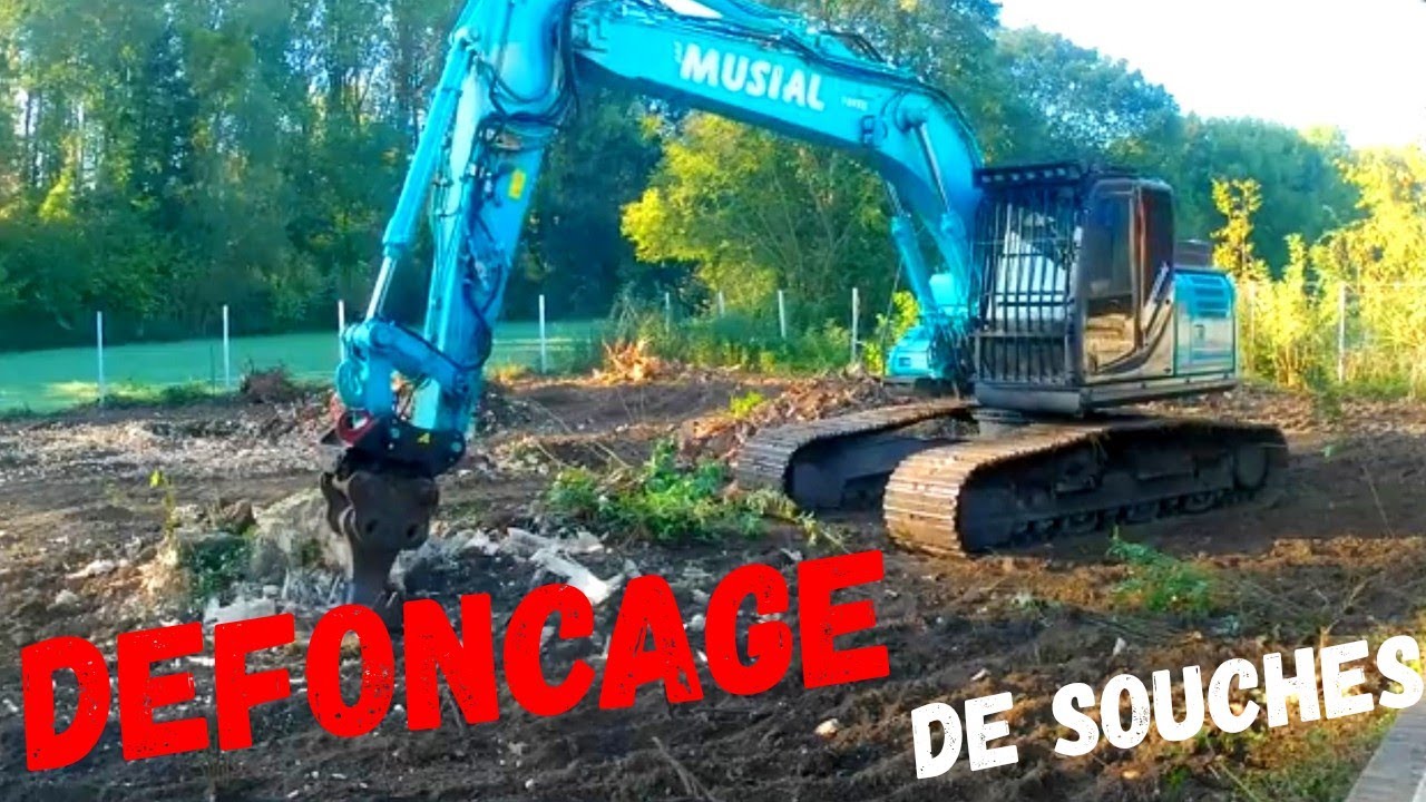 On vient dessoucher et nettoyer pour une future pelouse 