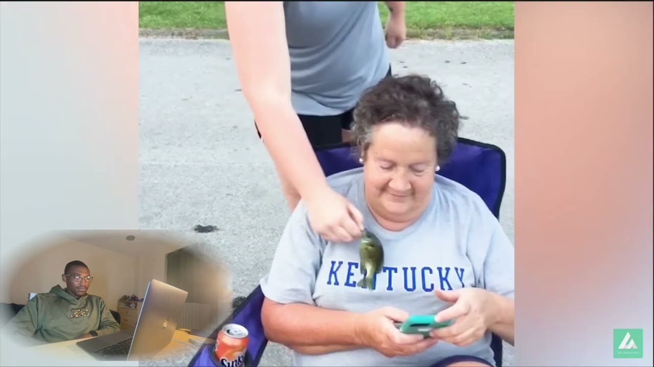 Try Not To Laugh -Funny Videos Laughing Until I Cried