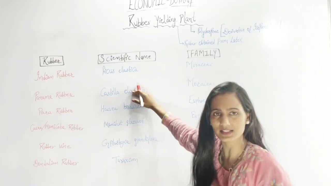 Rubber yielding plant/ECONOMIC BOTANY/botany/ m.sc/b.sc/competitive exam science/RPSC