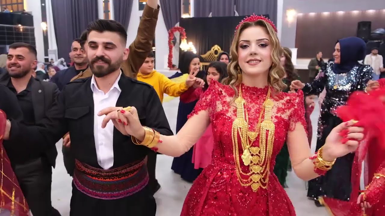 Şeğmuse Erbani Aşiret Gelini Dara Salonu Kızıltepe Düğünleri 2025