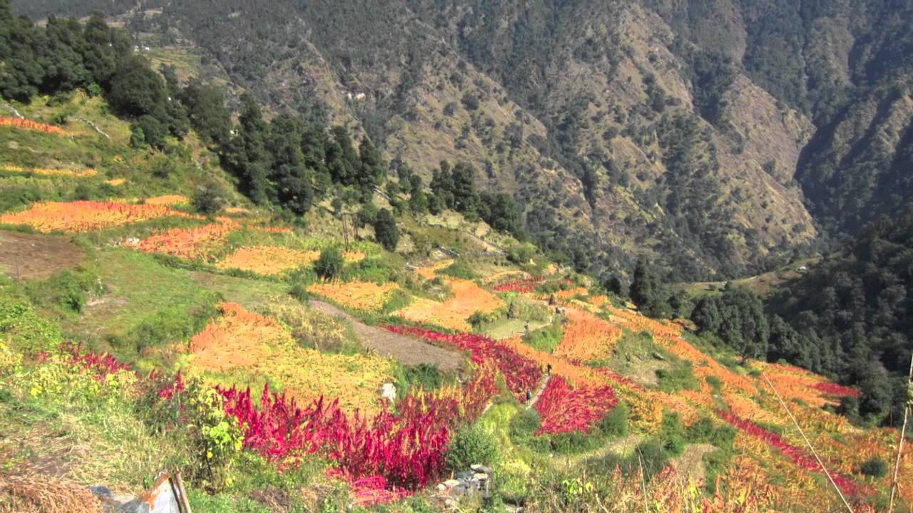 The Gratitude Song by Swami Prem Paras