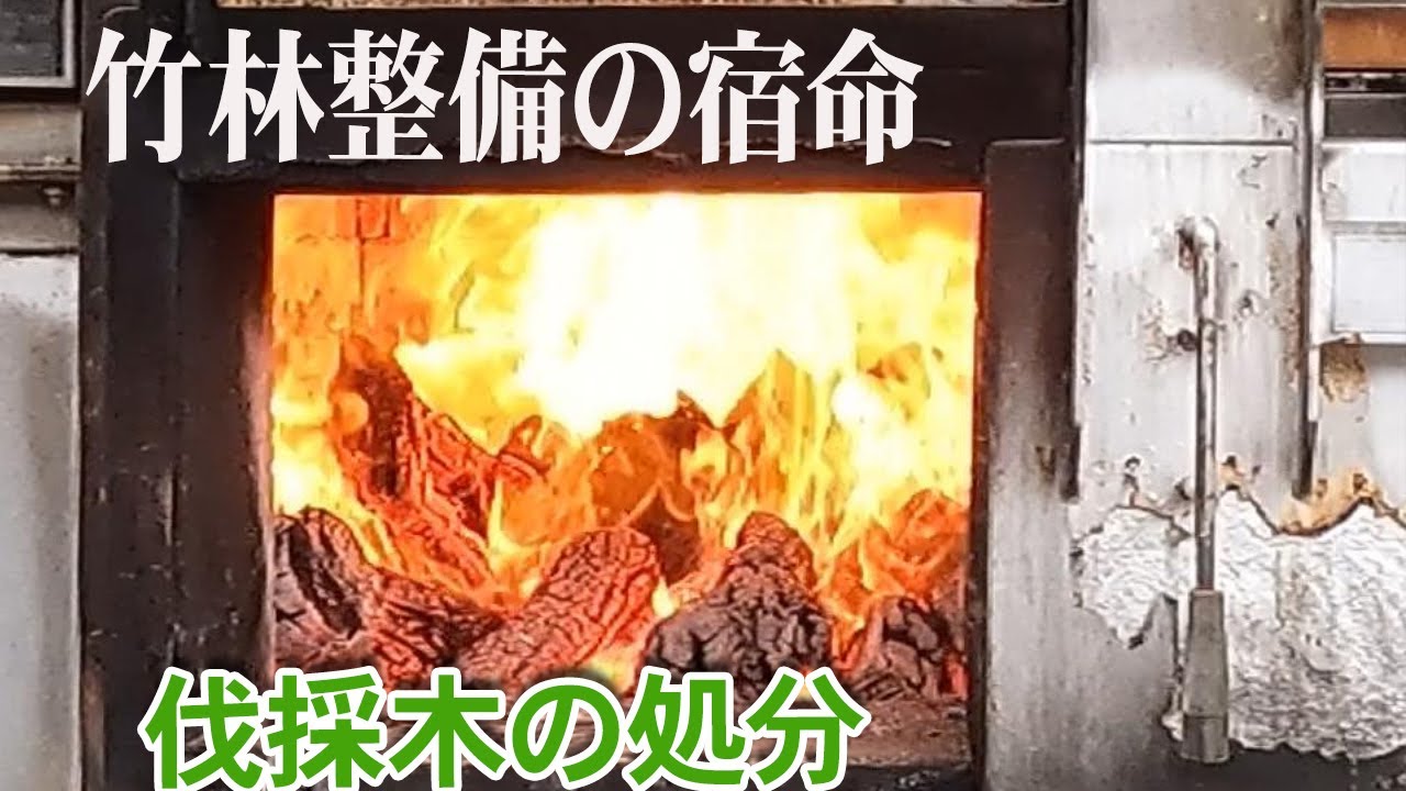 焼却炉で伐採木の処分　薪棚  【竹林整備】#44