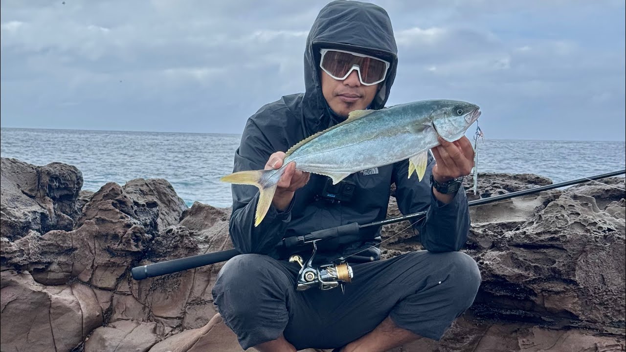 Rock fishing NSW , shore jigging , kingfish and silver travelly