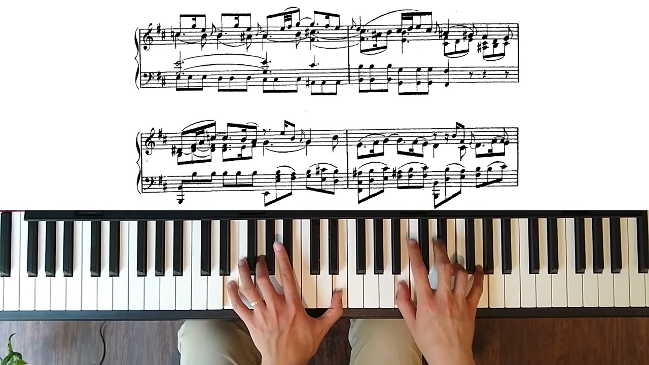St Matthew Passion: 39. Erbarme dich (piano transcription)