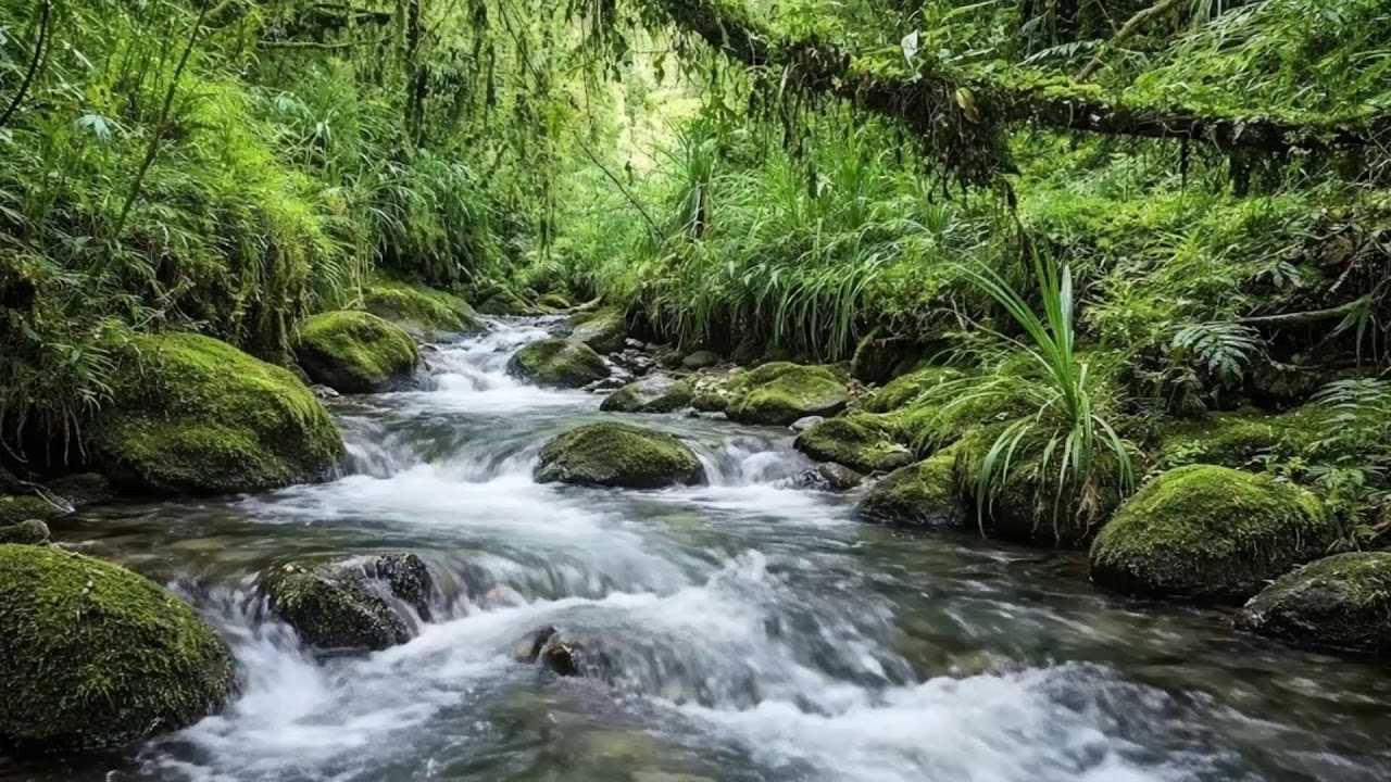 Natural Flowing River Sounds for Stress Relief and Relaxation 4K