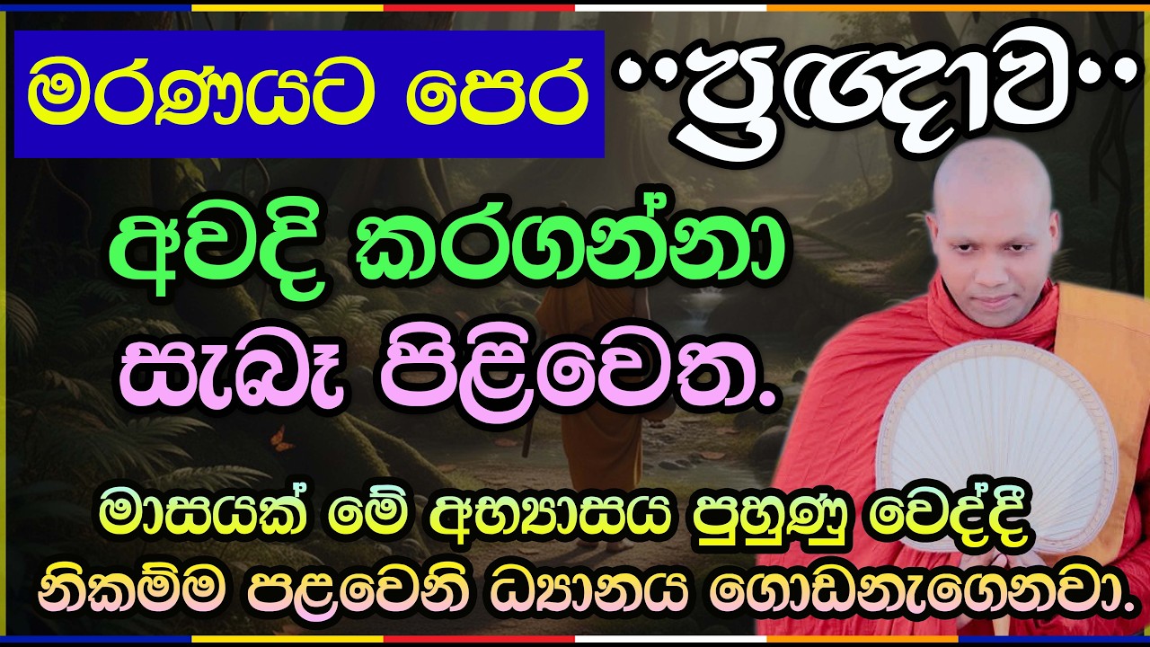 ප්‍රඥාව වැඩීම සහ ආර්ය මාර්ගය | පූජ්‍ය හසලක සීලවිමල හිමි | Hasalaka Seelawimala Thero | 3019