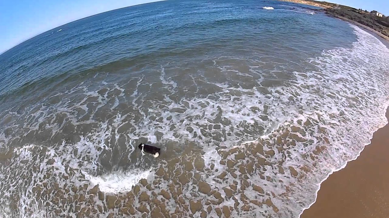 Hopeman summer  2013