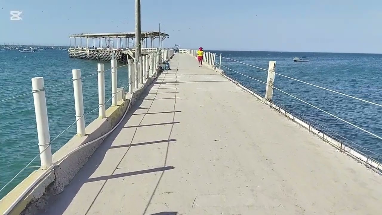 Muelle de la caleta El Ñuro-Los órganos-Talara-Piura-Perú 2026.
