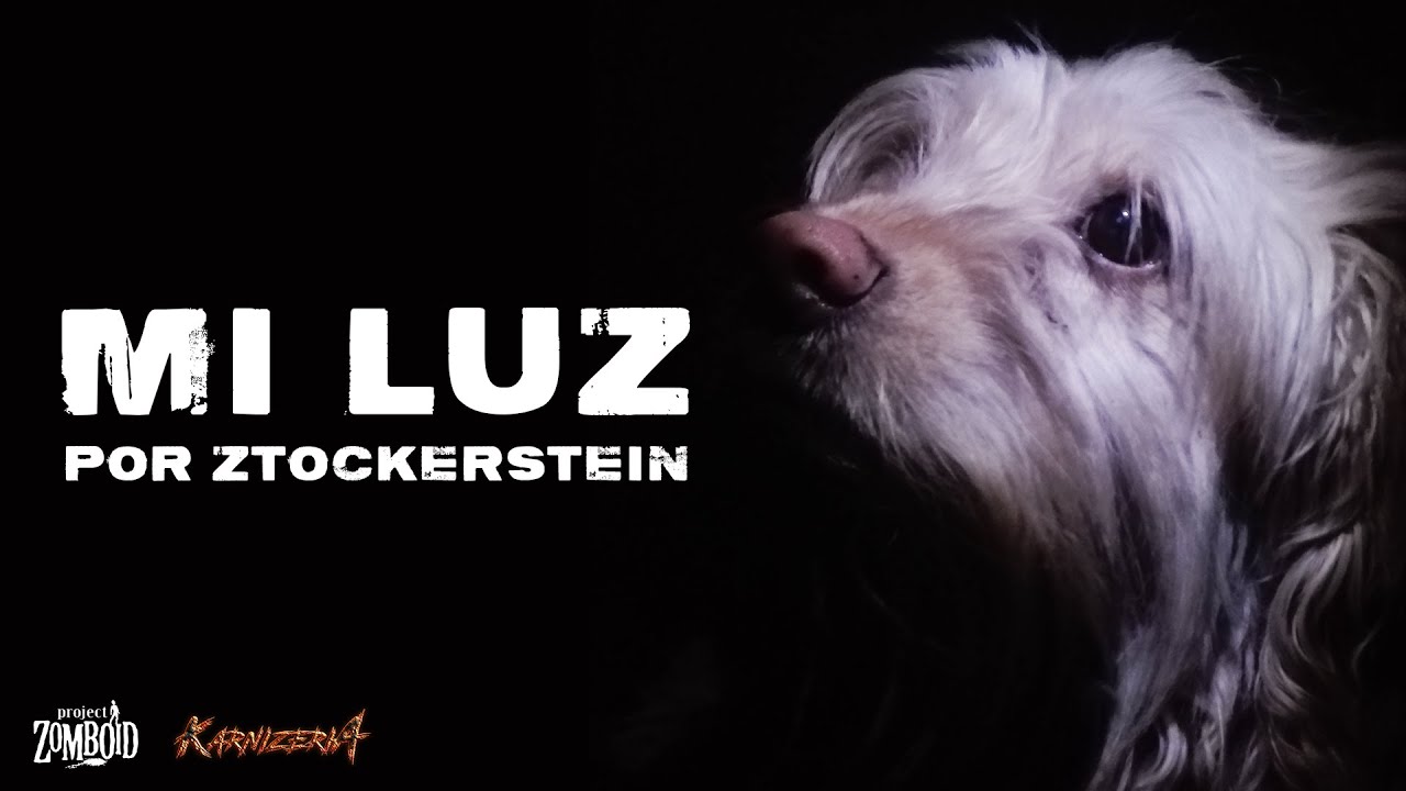 Ztockerstein - Mi Luz