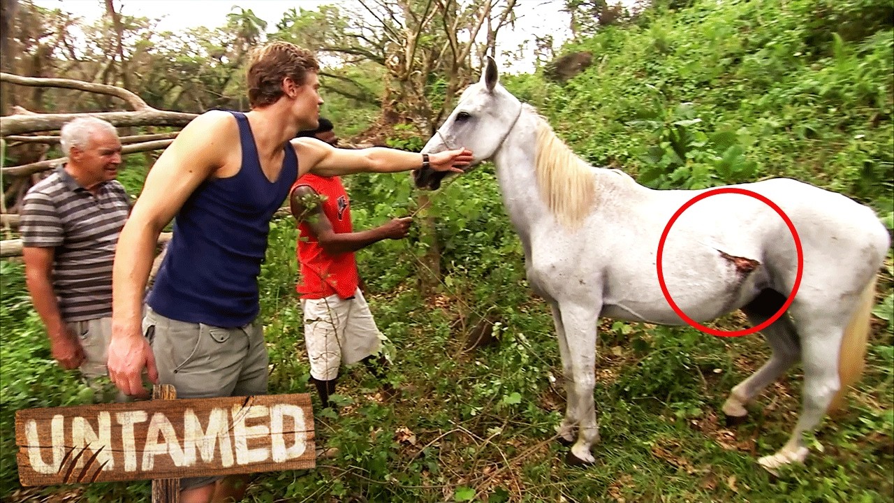 Extreme Surgeries Performed In The Wild! | Untamed