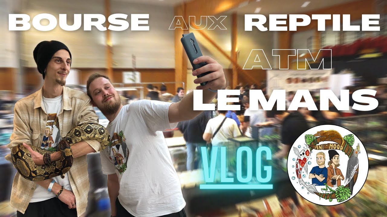 VISITE DE LA BOURSE AUX REPTILES A.T.M - LE MANS / VLOG [ ANI' MOOD]