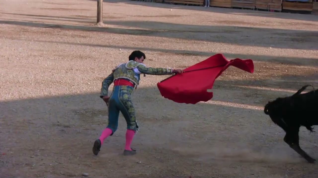 CORRIDA DE TOROS SAN JERONIMO 2024 - ASOCIACIÓN DE AVELINOS SAN ROQUE 