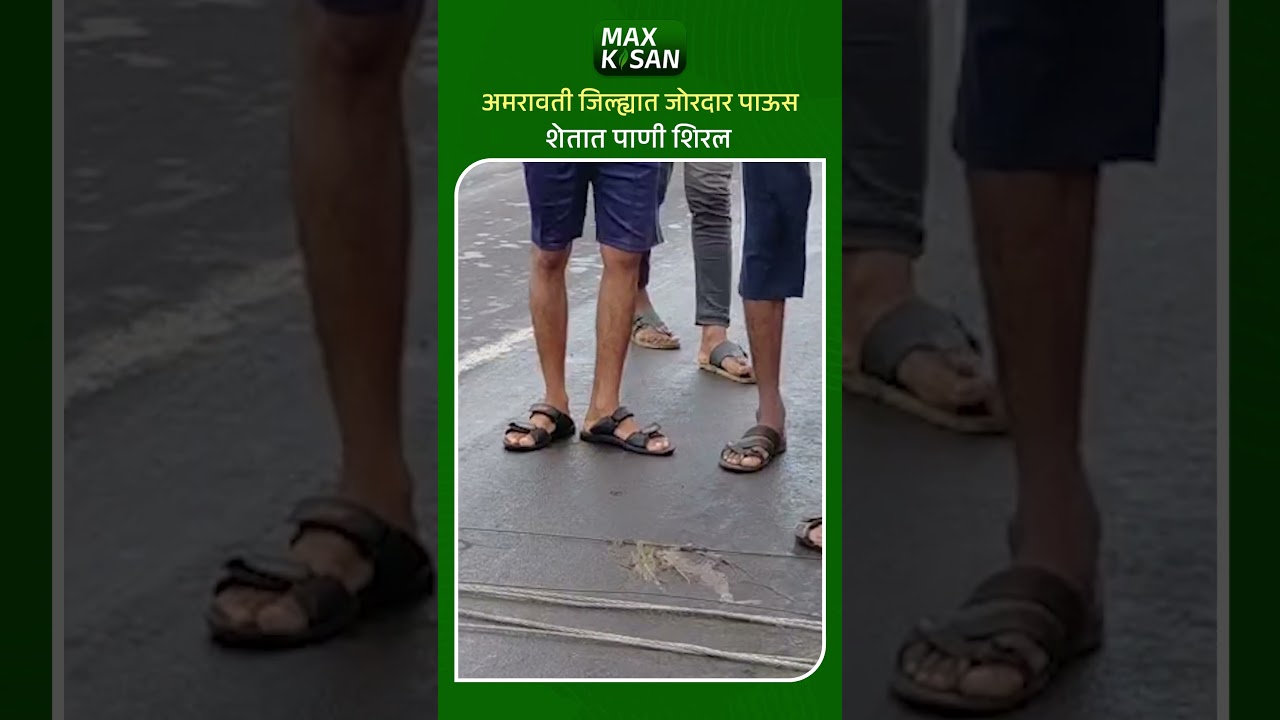 अमरावती : जिल्ह्यात जोरदार पाऊस , शेतात पाणी शिरल | Max Kisan