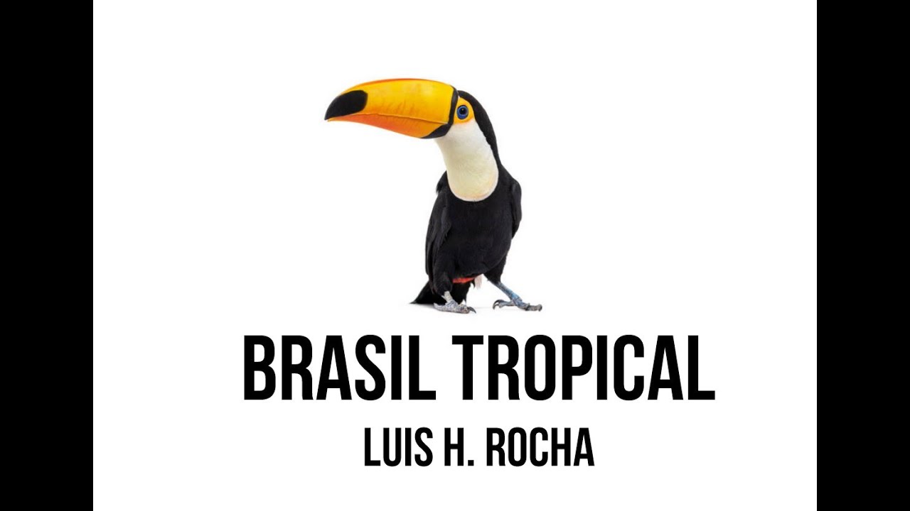 Brasil Tropical