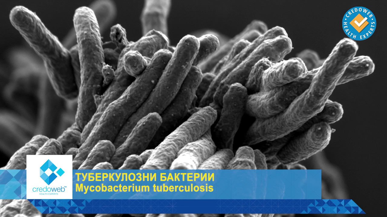Диагностика на туберкулозата и признатото световно качество на българския ППД туберкулин