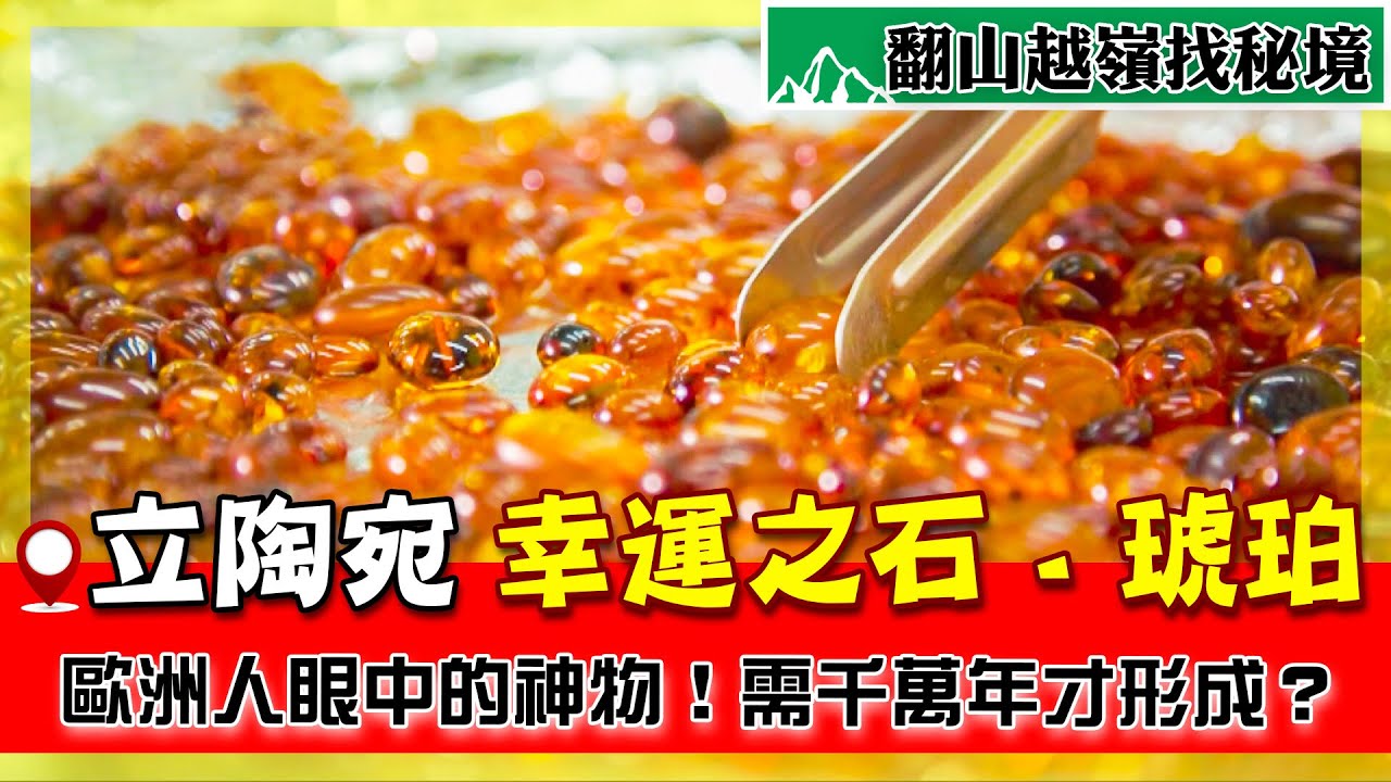 歐洲人為何瘋搶琥珀？直擊波羅的海「黃金」現場！億萬年神級蟲珀可能就躺在你腳邊！｜Lithuania Baltic／Amber