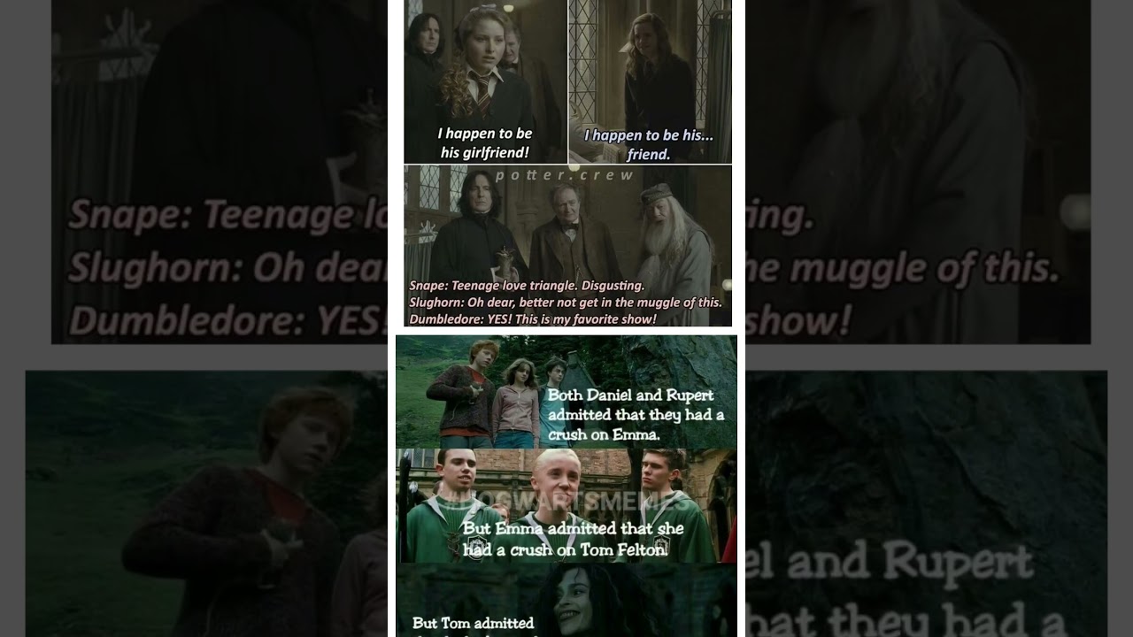 Harry Potter meme 