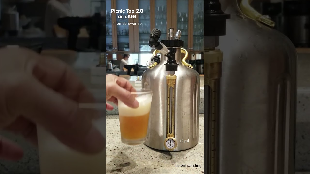 Picnic Tap 2 1 : le robinet ultime pour tirer directement votre bière depuis un soda keg.