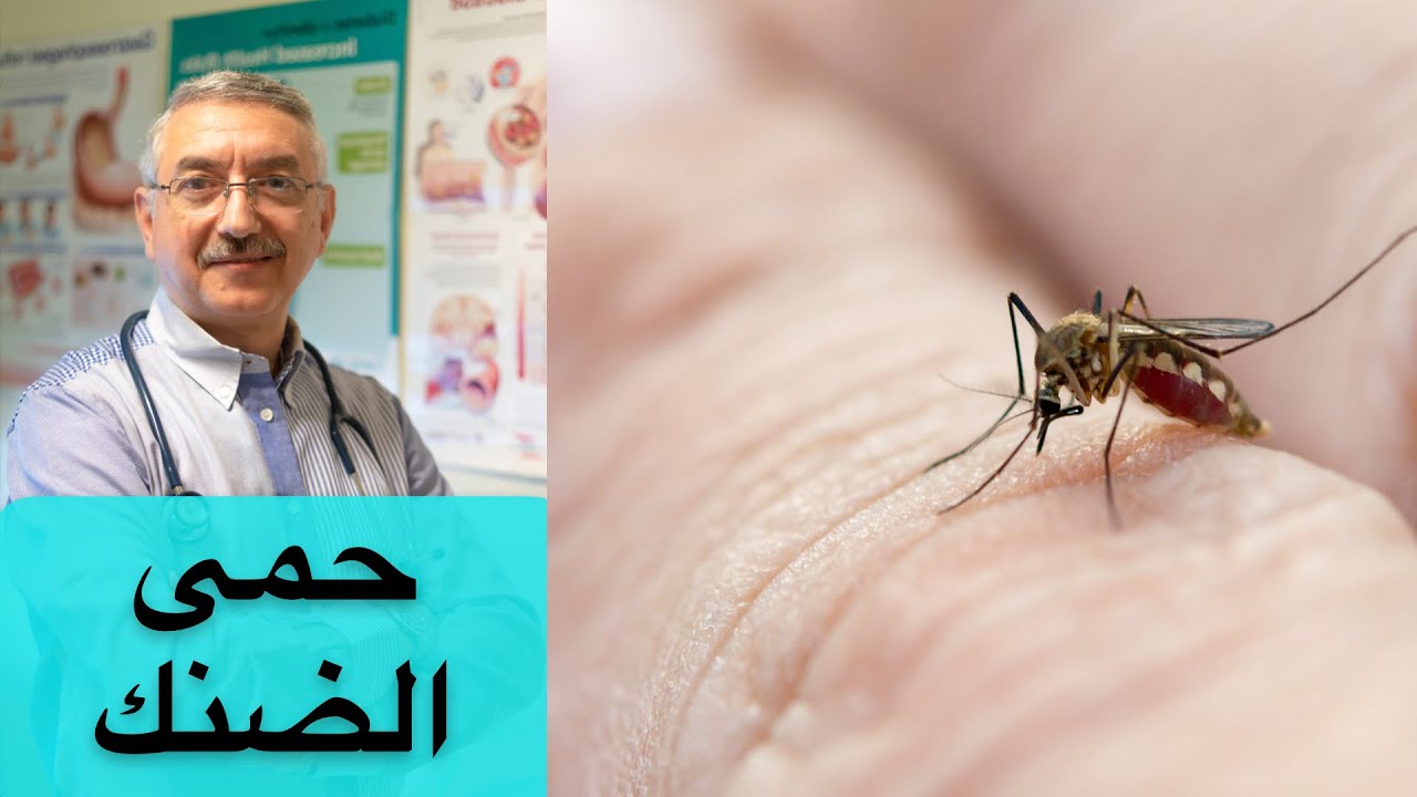 ما هي حمى الضنك ؟