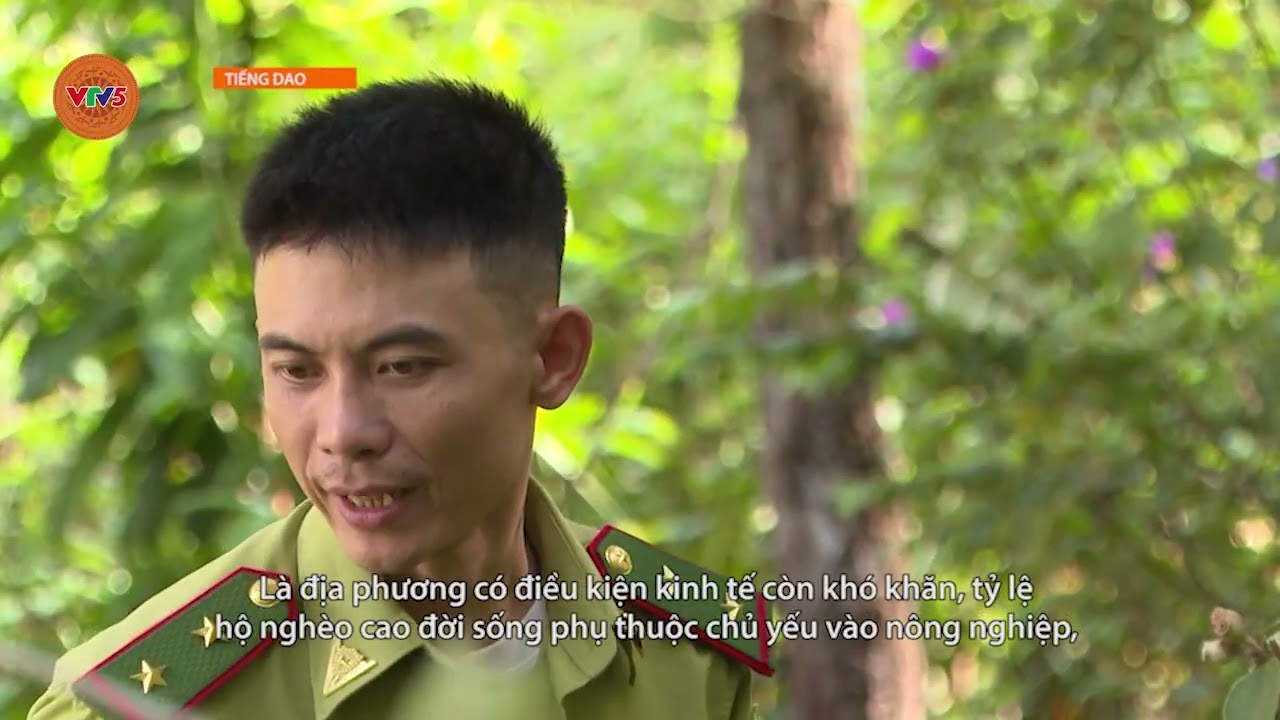 [TIẾNG DAO] TĂNG CƯỜNG CÁC BIỆN PHÁP BẢO VỆ RỪNG, PCCCR | VTV5