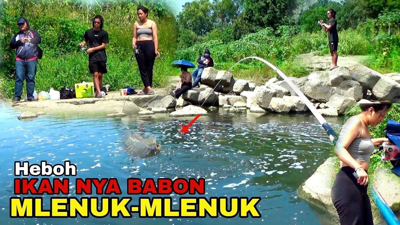 Heboh.!! Mancing ikan Nila liar di sungai ke datangan Artis China sampai Emosi saya strike Terus