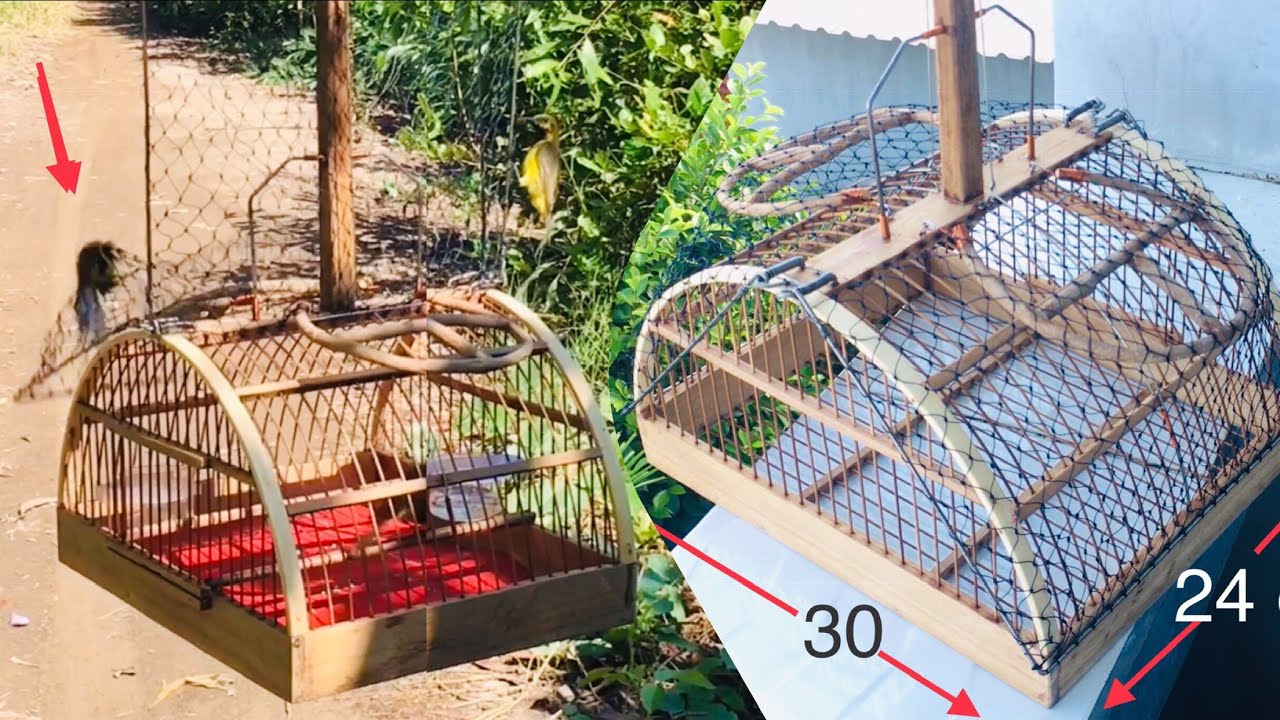 Cách làm Lồng bẫy chim siêu nhạy