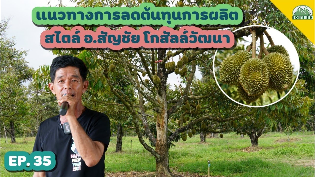 EP.35 แนวทางการลดต้นทุน สไตล์ อ.สัญชัย โกสัลล์วัฒนา |ปุ๋ยตราเขาแก้ว (Official)