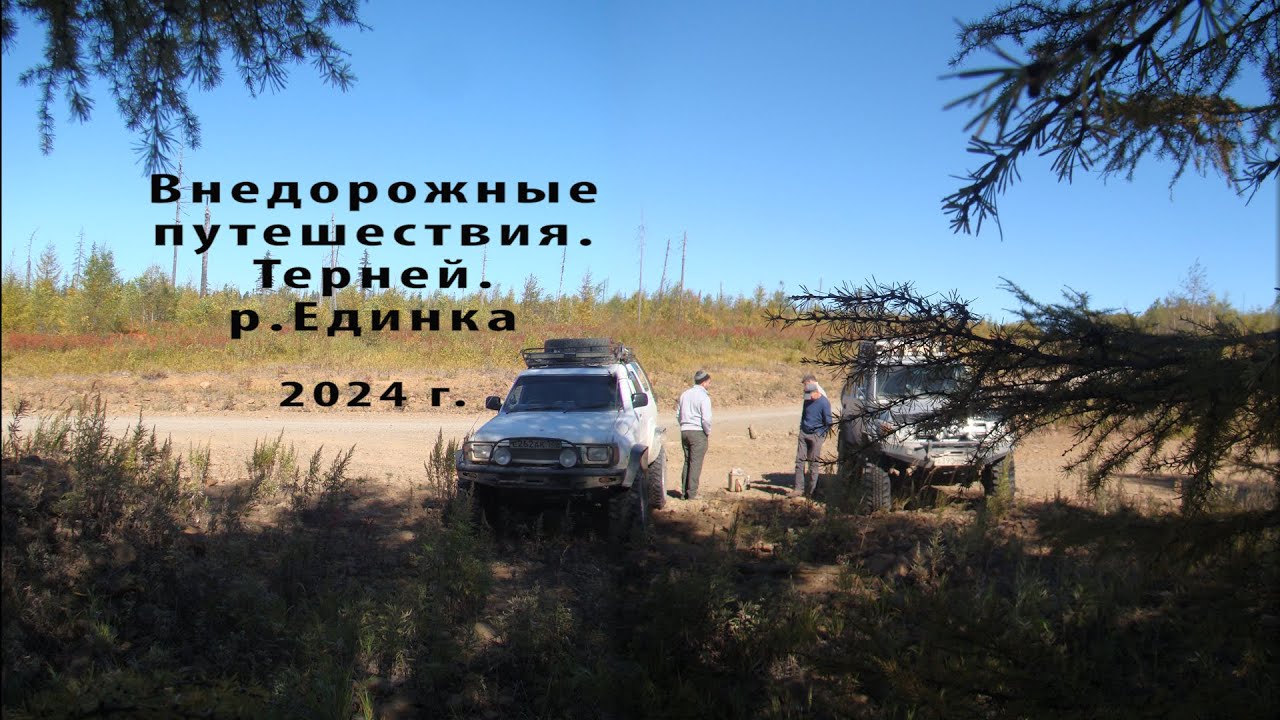 Терней Единка 2024