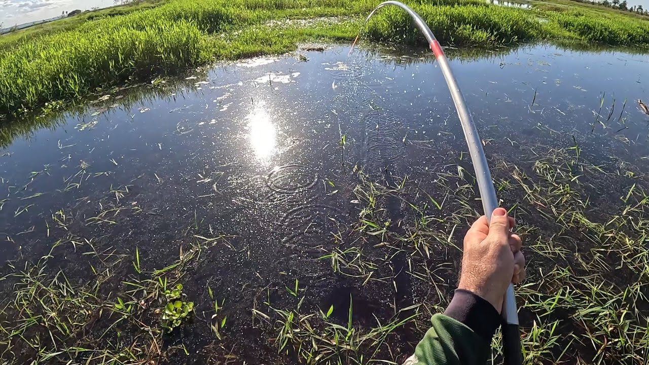 VARINHA DE MÃO FEZ UM ESTRAGO - NÃO DÁ TEMPO DECAIR NA ÁGUA - Pescaria de Traíra #pesca #traíra 