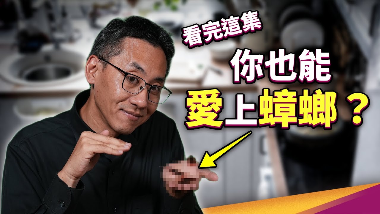 看見蟑螂就害怕？我們不能跟小強做朋友嗎？昆蟲之中，為什麼我們總特別怕牠？