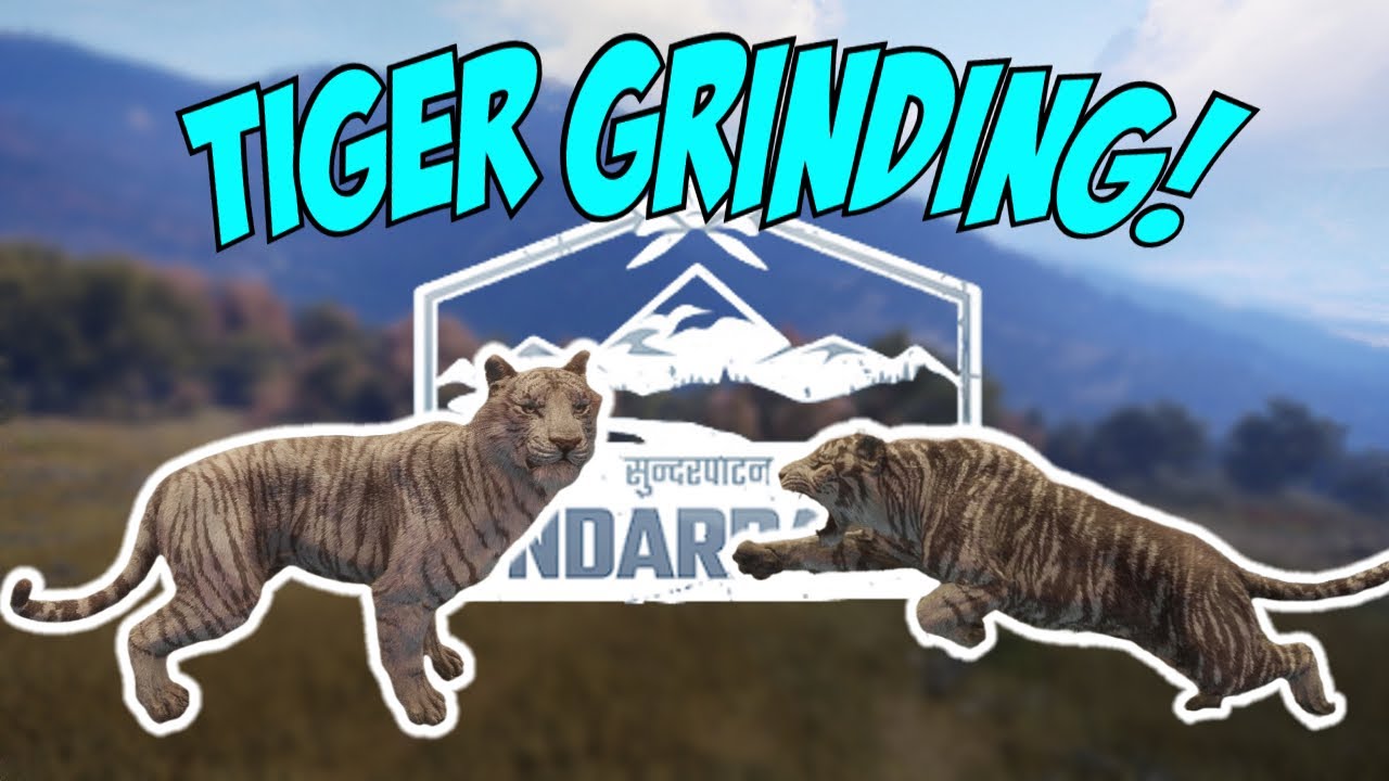 WE SPAWNED A SUPER RARE TIGER! CALL OF THE WILD