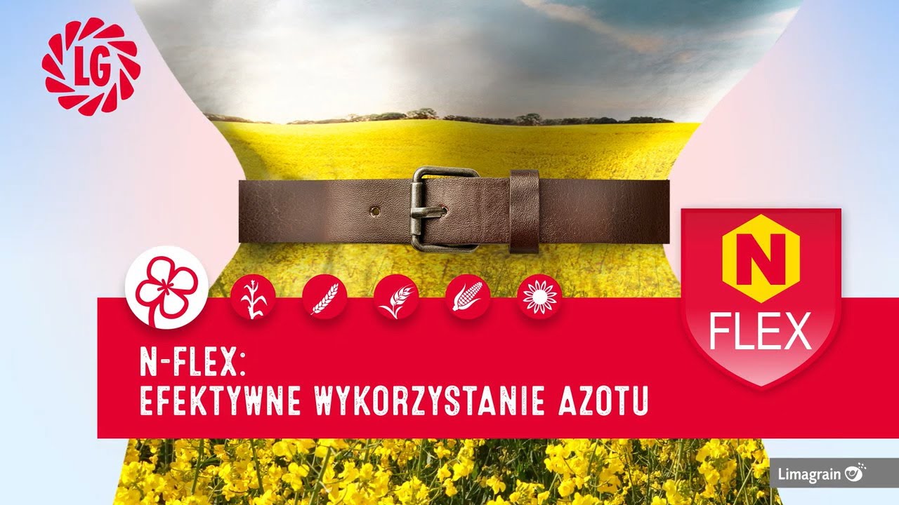 Poznaj cechy odmian rzepaku ozimego N-Flex od Limagrain
