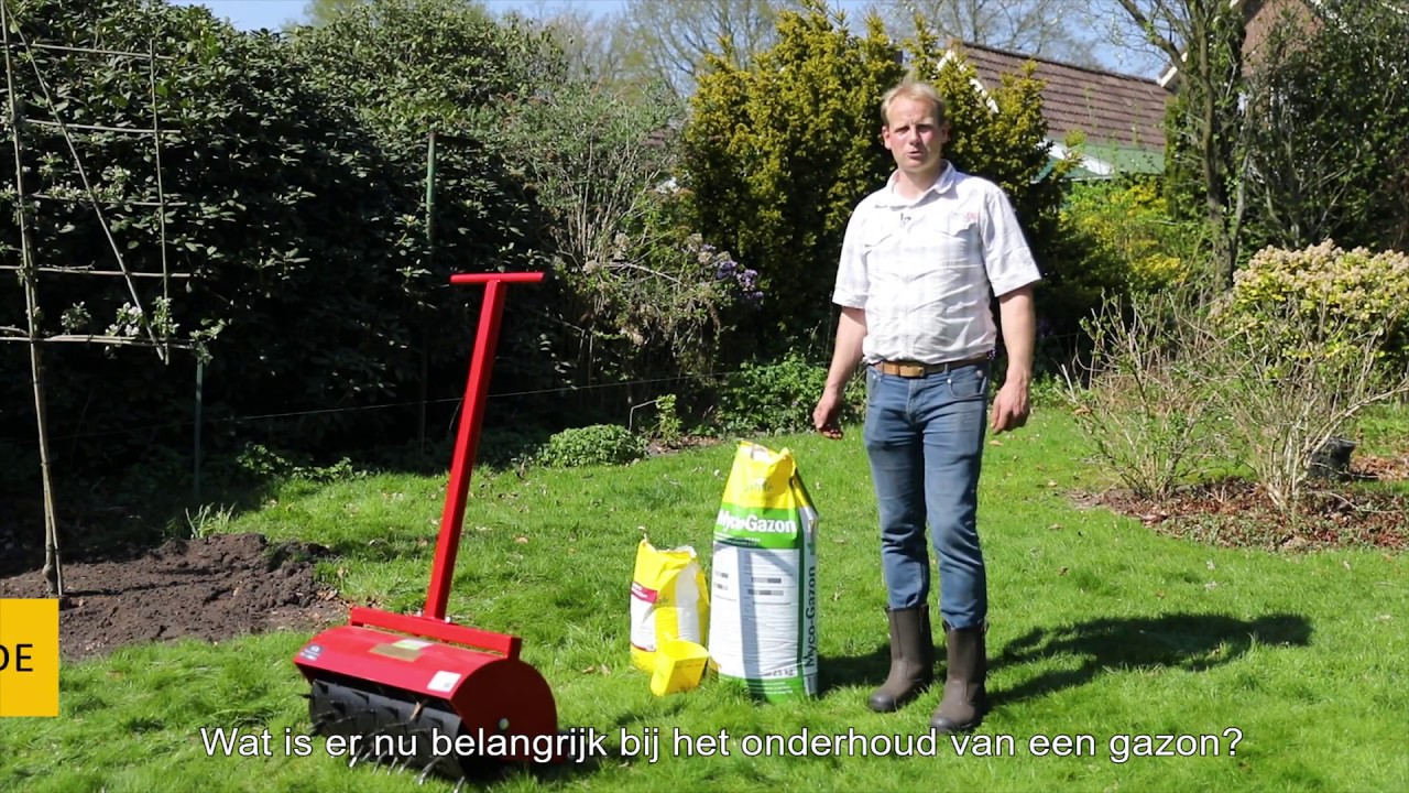 Wat is belangrijk bij het onderhoud van een gazon?