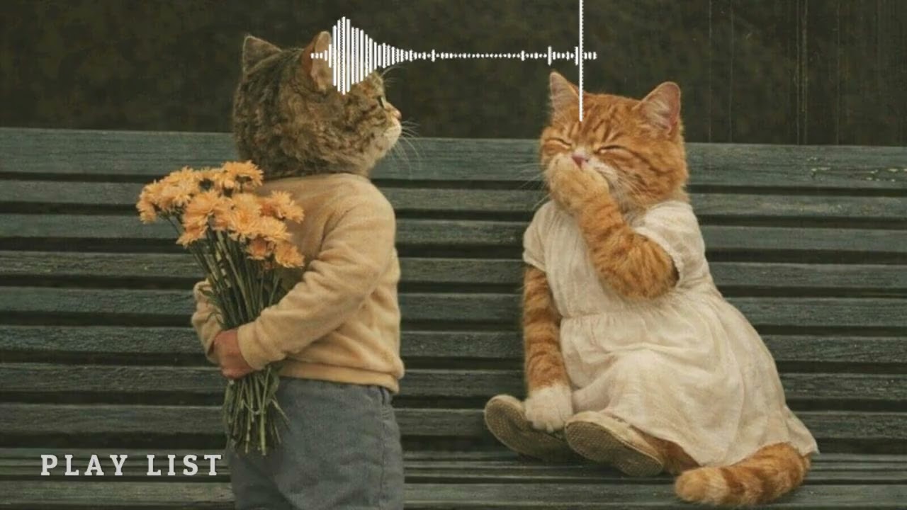 [playlist] Late Night Café Pop ☕ Soft Background Music for Work & Store