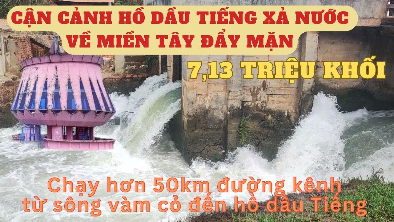 cận cảnh hồ dầu Tiếng  xả nước về sông vàm cỏ Đông đẩy mặn miền Tây 2024