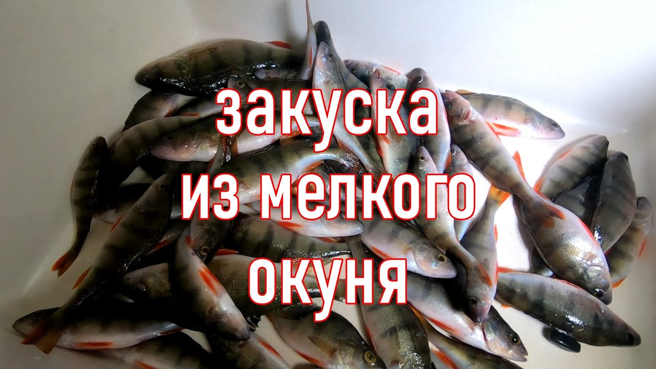 Консервы из окуня  Закуска из речной рыбы