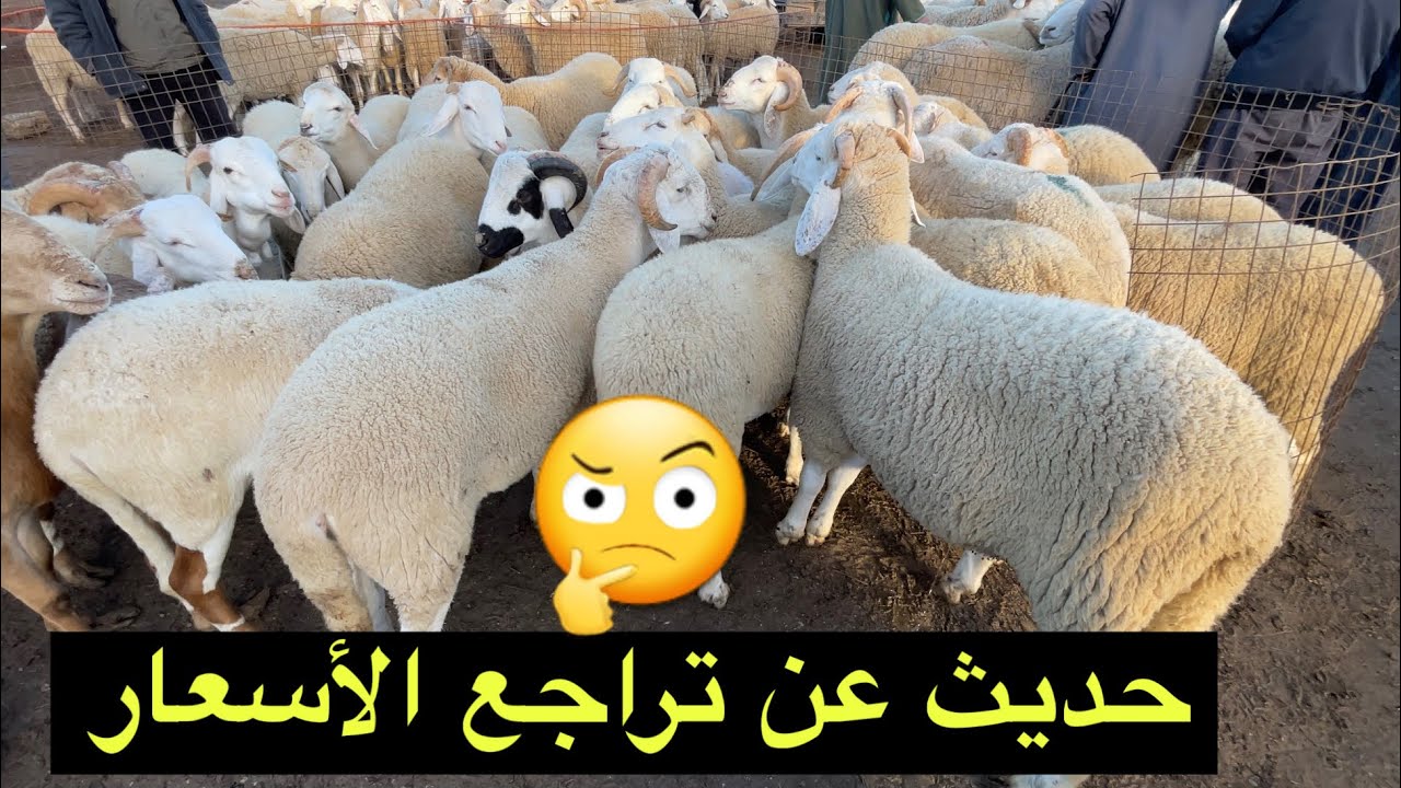 حديث