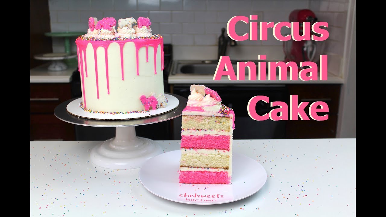 Circus Animal Cake with Pink Drips | CHELSWEETS