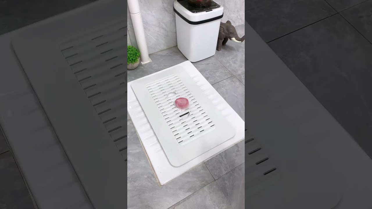 Install it over your squat toilet, and you'll never have to worry about pests again #PHITO