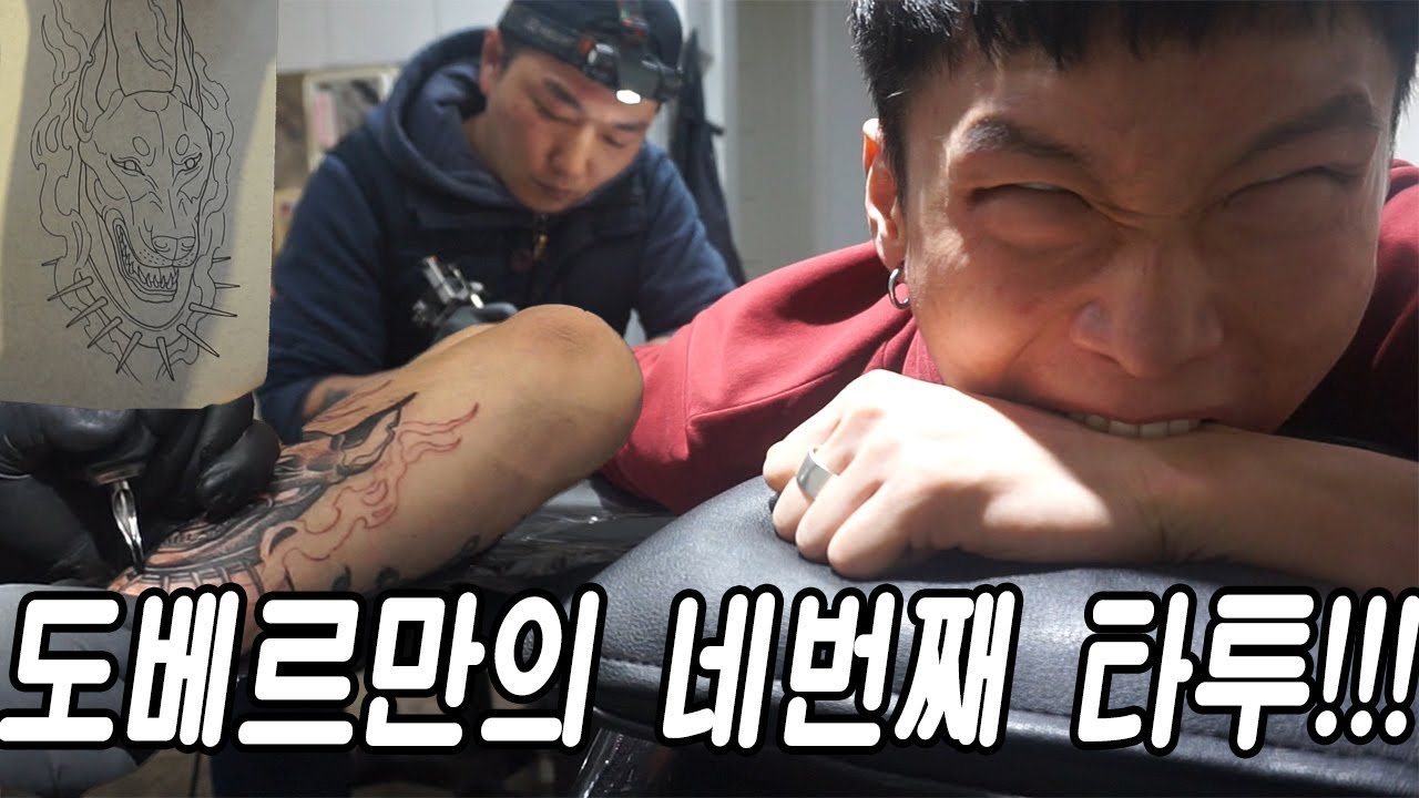도베르만의 네번째 타투!!! 드디어 도베르만이 도베르만 타투를??!! 타투가 이렇게 아픈겁니다...!