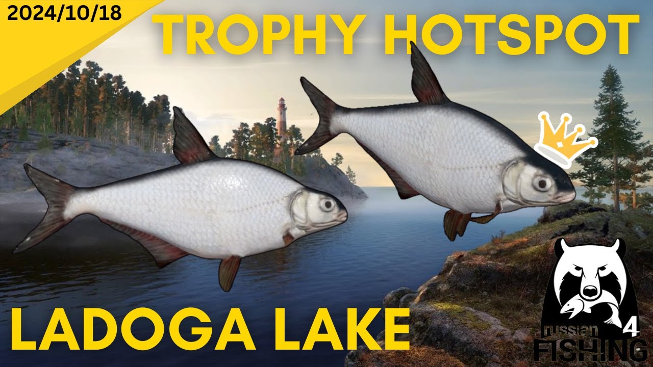 White Eye Bream TROPHY Hotspot Ladoga Lake Russian Fishing 4