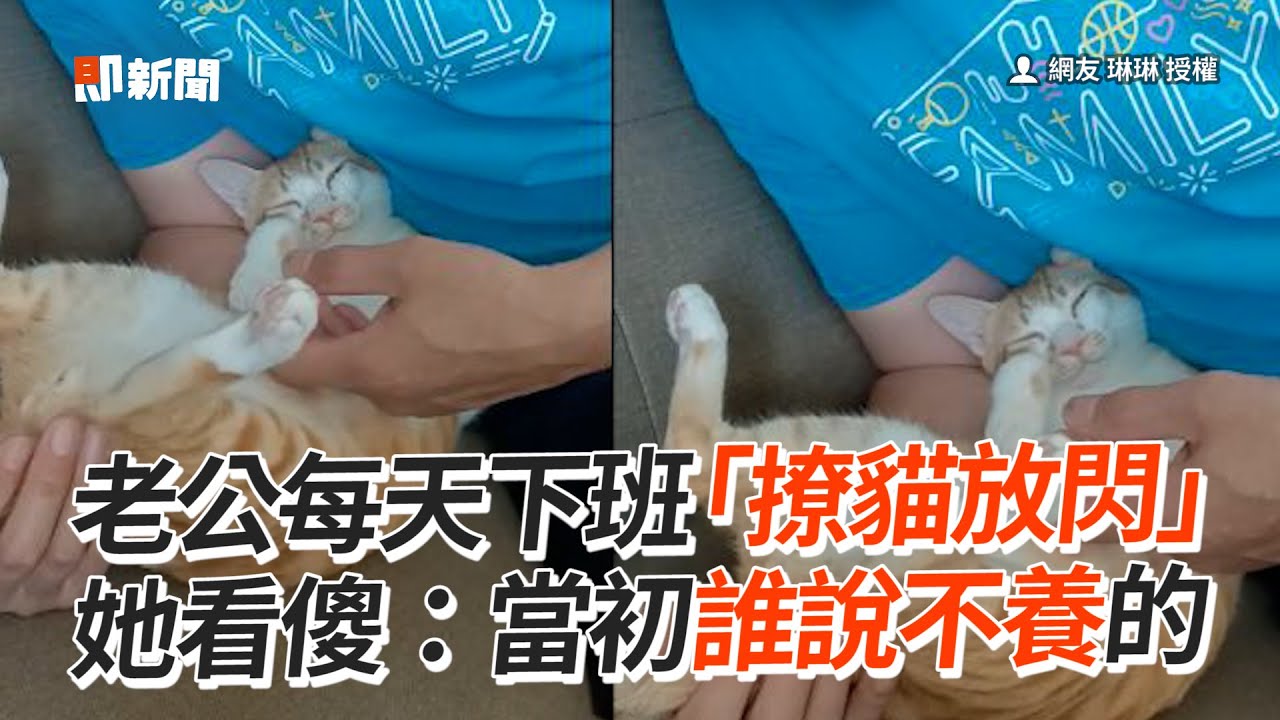 老公每天下班「撩貓放閃」 她看傻：當初誰說不養？｜寵物動物｜貓咪｜精選影片